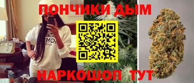 тгк Новозыбков