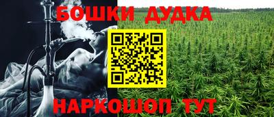 тгк Новозыбков
