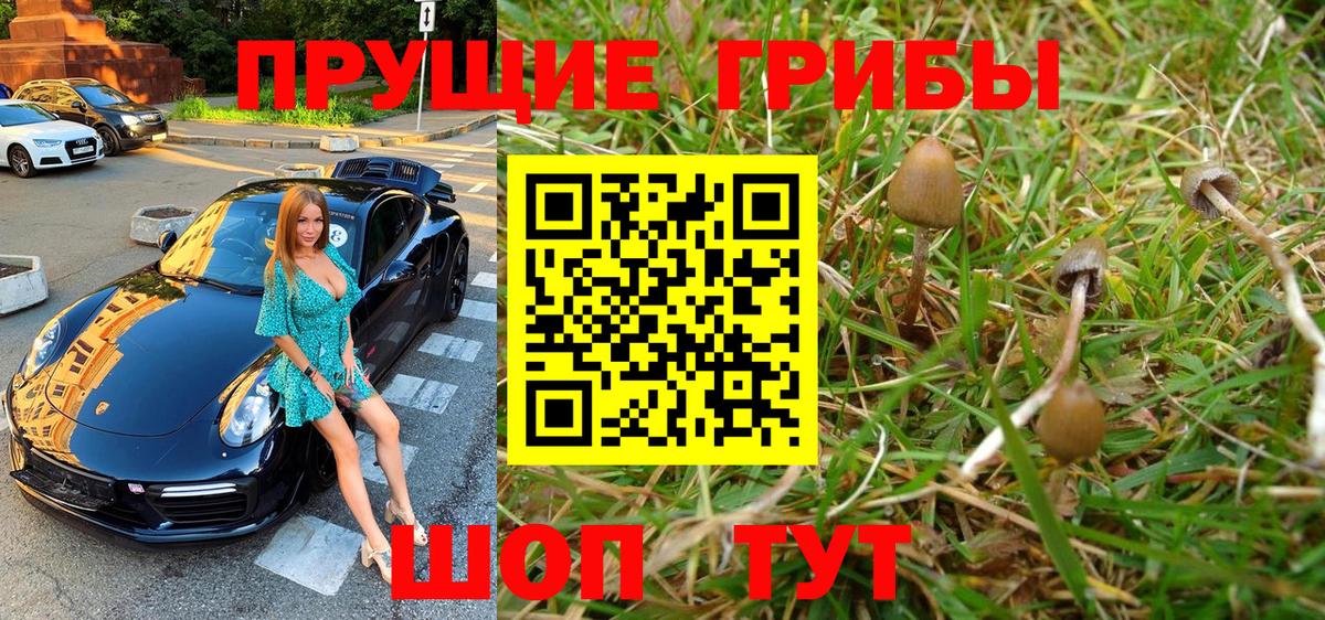 Шали  Галлюциногенные грибы Magic Shrooms  Галлюциногенные грибы Psilocybe  Вход с VPN 