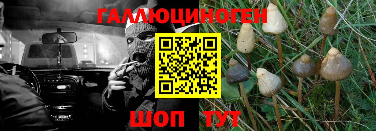 Галлюциногенные грибы мицелий Шали